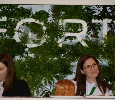 Equipbaie Paris 2018